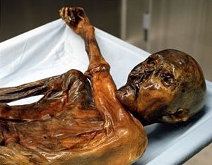 Genetic Dead End - 5300 Year-Old Oetzi Has No Modern Relatives